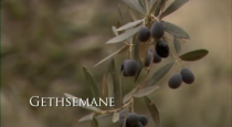 Gethsemane mormon